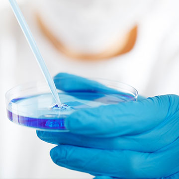 規(guī)范、品控管理